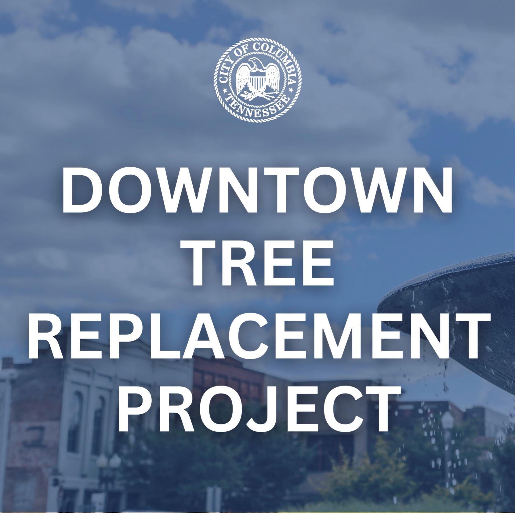 TREE REPLACEMENT PROJECT